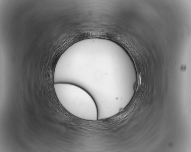 X0000099291251200805020725