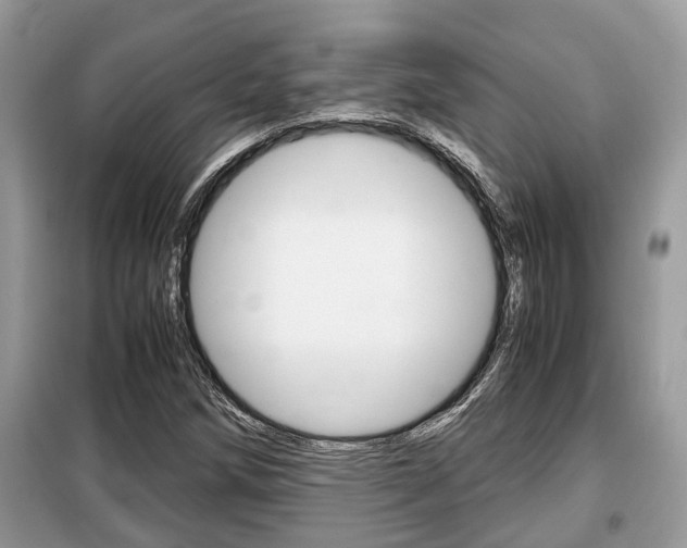X0000099291258200805020724