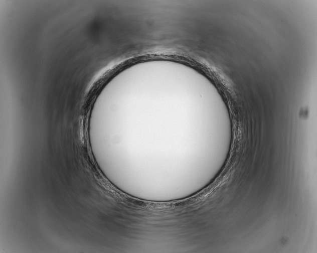 X0000099291262200805020724