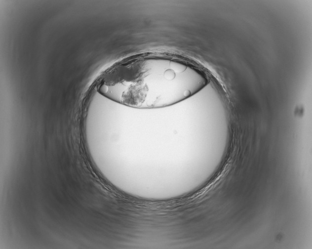 X0000099291263200805020724