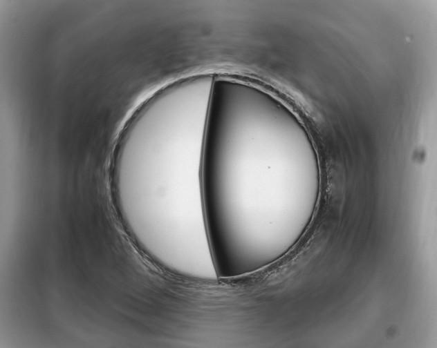 X0000099291264200805020724