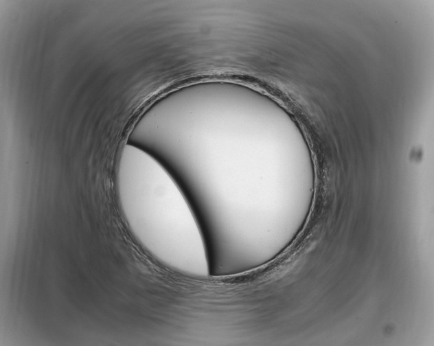 X0000099291265200805020724