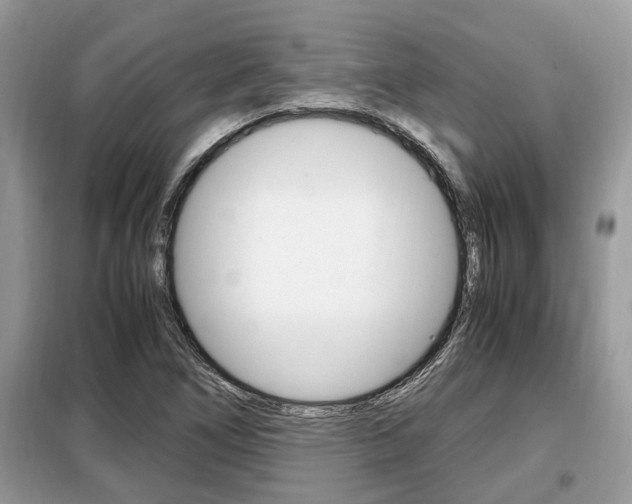X0000099291266200805020724