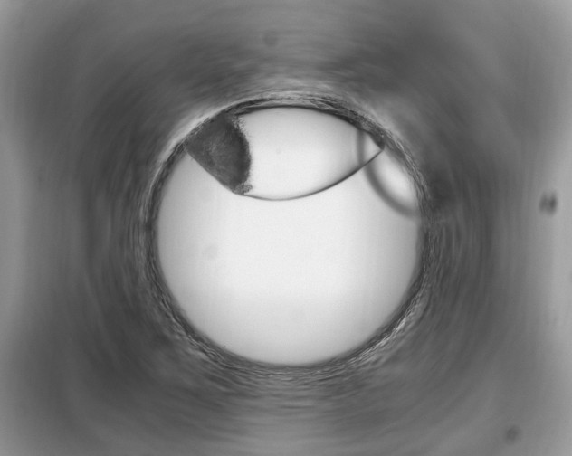 X0000099291267200805020724