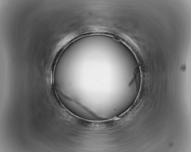 X0000099291269200805020724