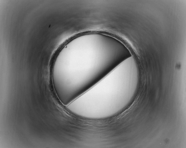 X0000099291270200805020724