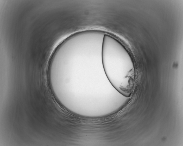X0000099291271200805020724