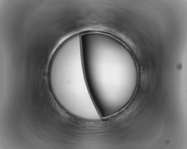 X0000099291272200805020724