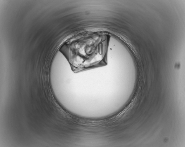 X0000099291273200805020724