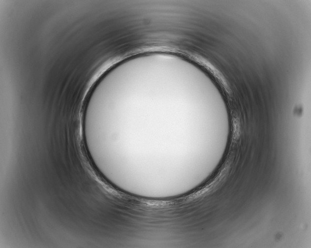 X0000099291274200805020724