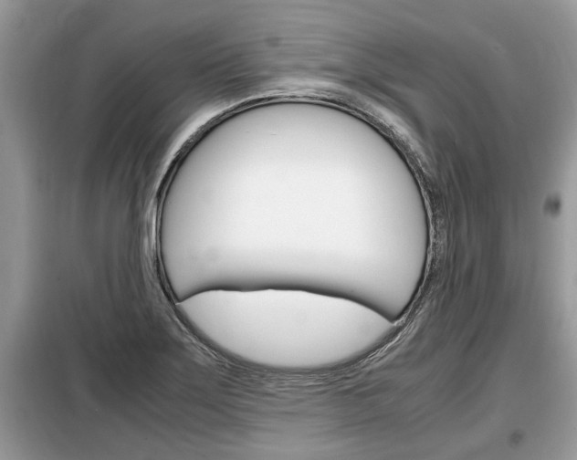 X0000099291275200805020724
