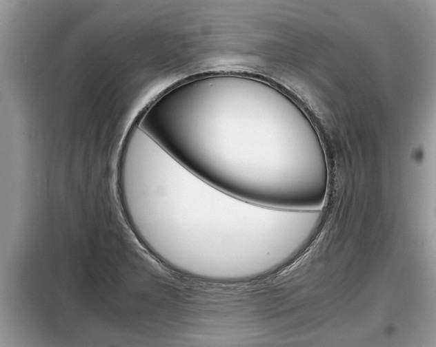 X0000099291277200805020724