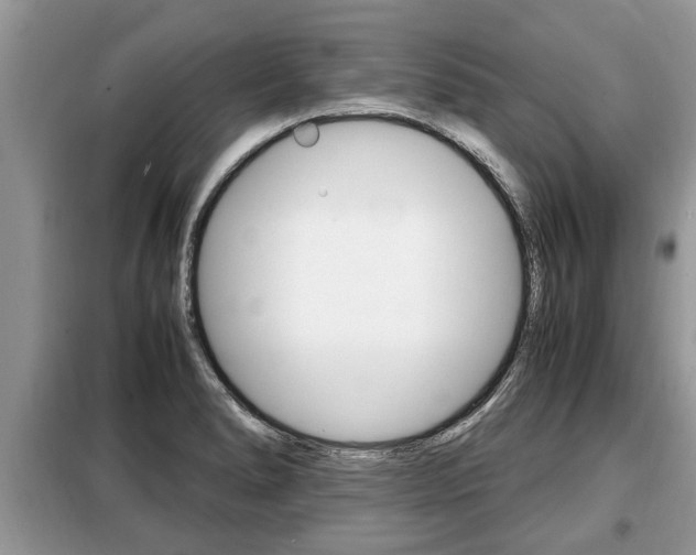 X0000099291278200805020724
