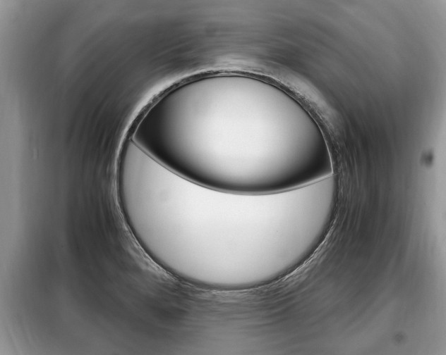 X0000099291280200805020724