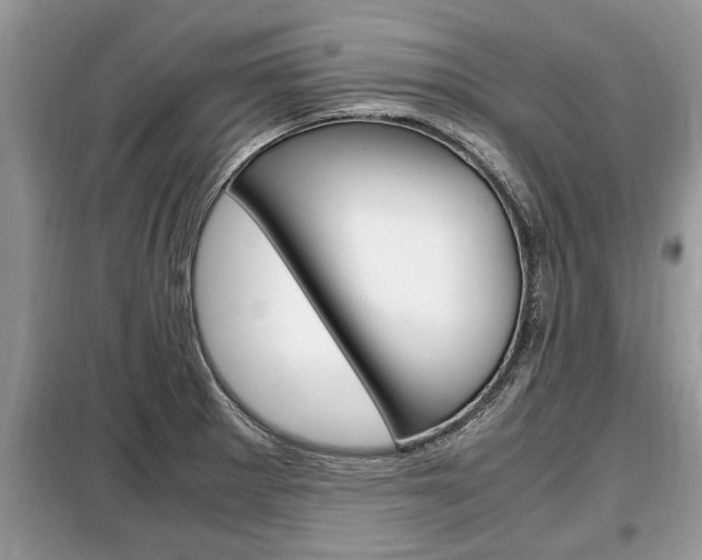 X0000099291281200805020724