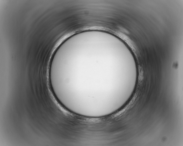 X0000099291282200805020724