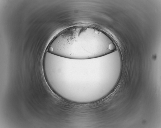X0000099291283200805020724