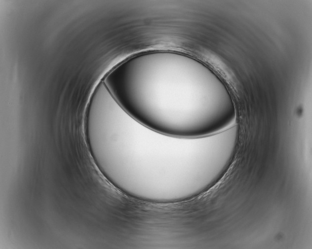 X0000099291284200805020724