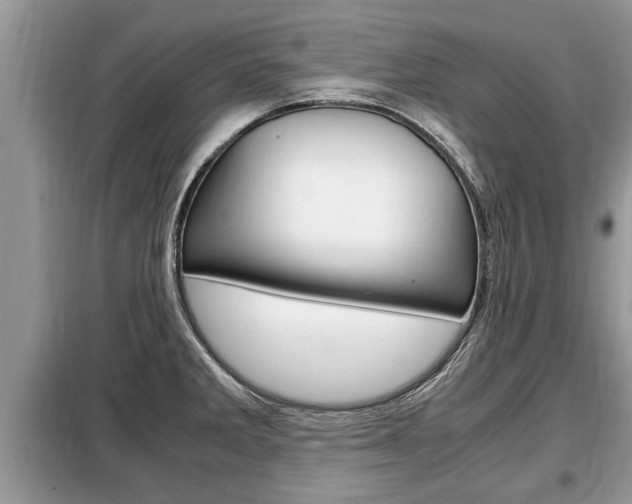 X0000099291285200805020724