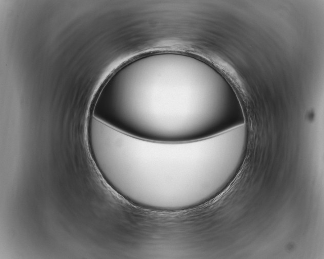 X0000099291288200805020724