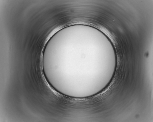 X0000099291290200805020724