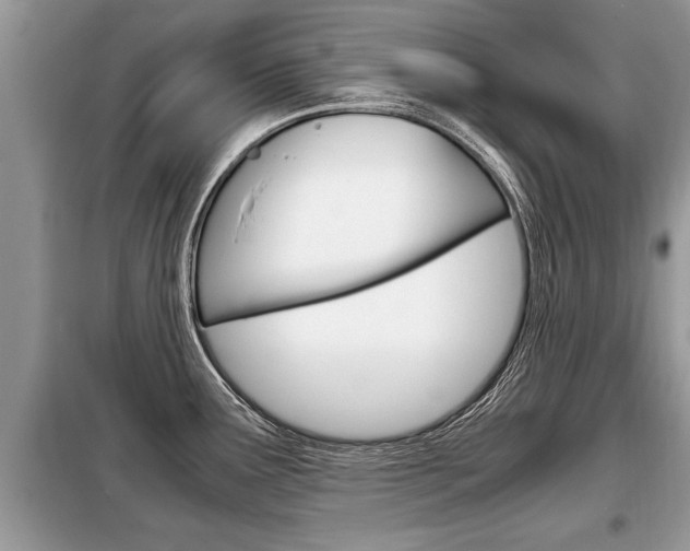 X0000099291291200805020724