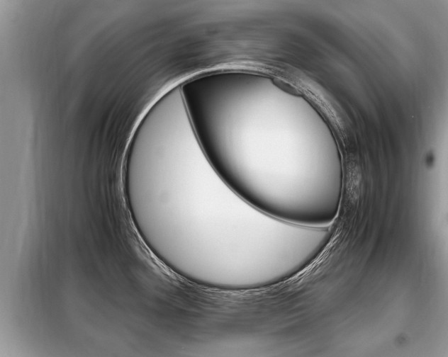 X0000099291292200805020724