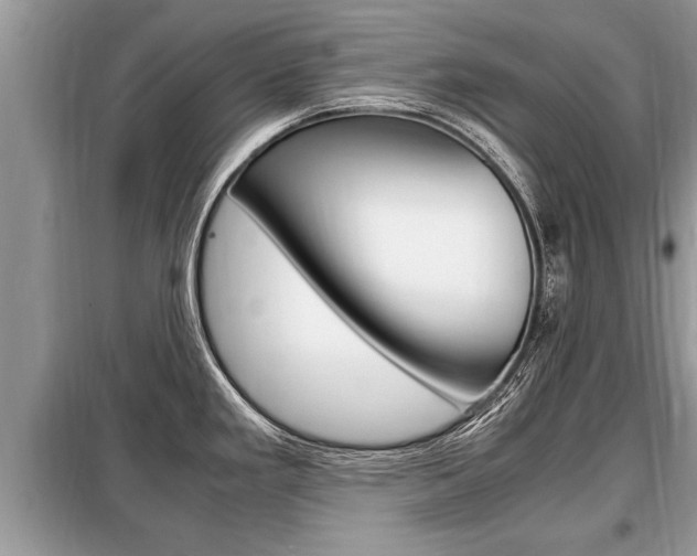 X0000099291293200805020724