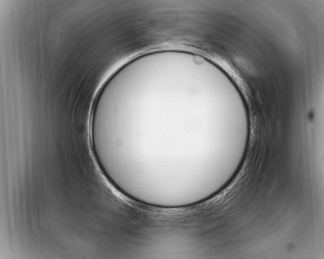 X0000099291294200805020724