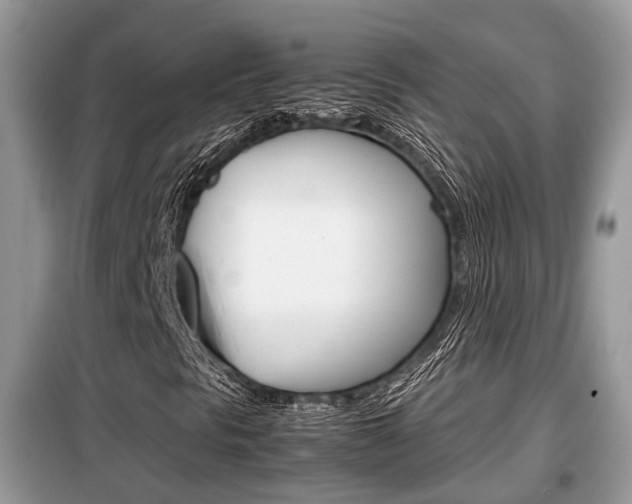 X0000099291297200805020723