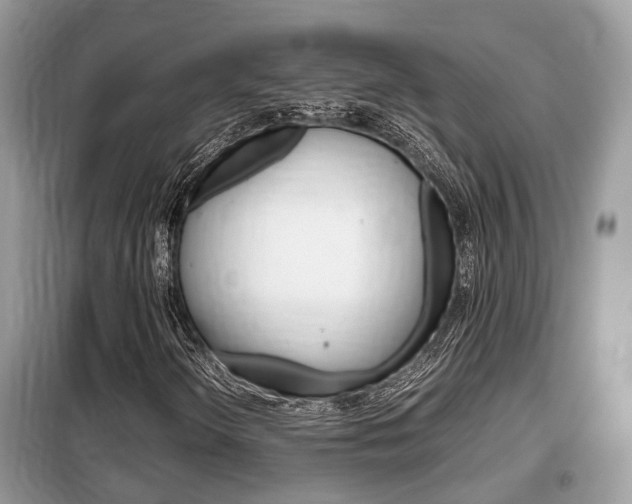 X0000099291298200805020723