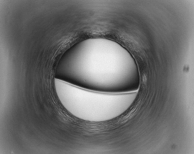 X0000099291300200805020723