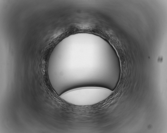X0000099291301200805020723