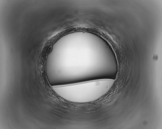 X0000099291303200805020723