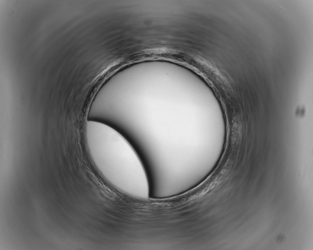 X0000099291305200805020723