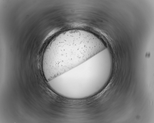 X0000099291306200805020723