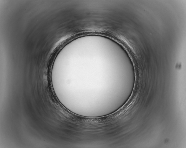 X0000099291307200805020723