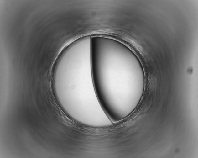 X0000099291308200805020723