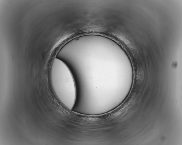 X0000099291309200805020723