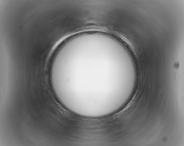 X0000099291310200805020723