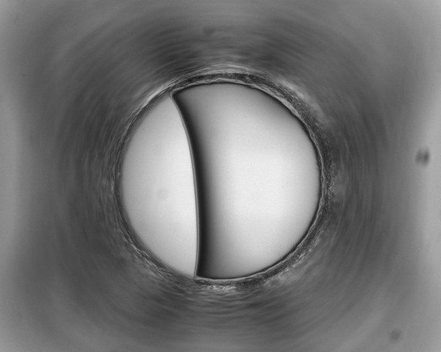 X0000099291313200805020723