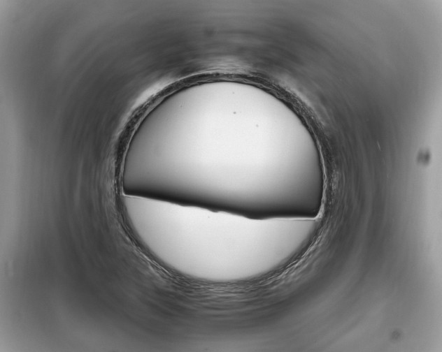 X0000099291315200805020724