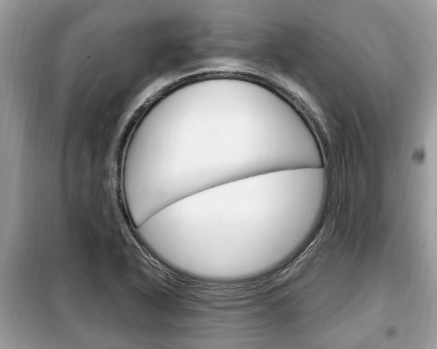 X0000099291318200805020724