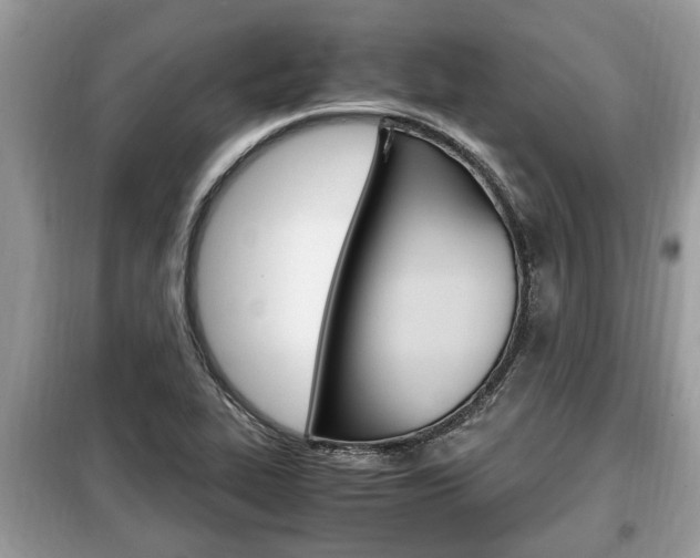 X0000099291319200805020724