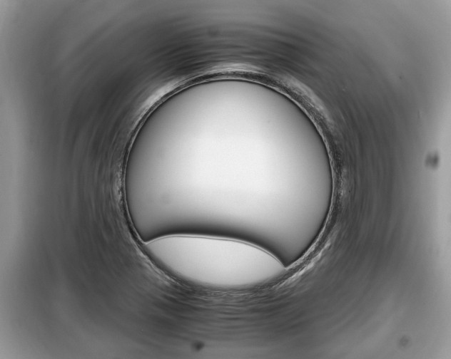 X0000099291321200805020724