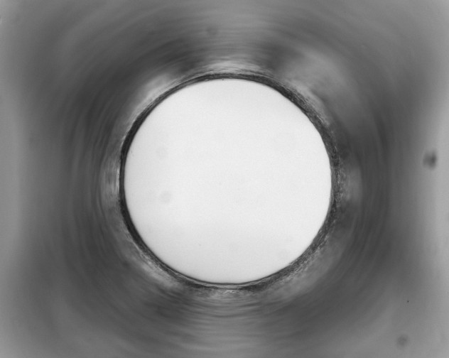 X0000099291322200805020724