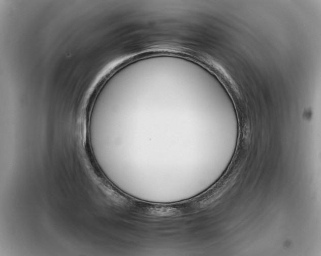 X0000099291323200805020724