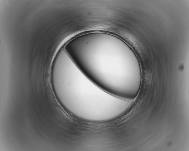 X0000099291324200805020724