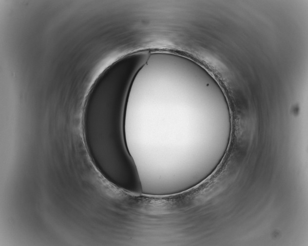 X0000099291326200805020724
