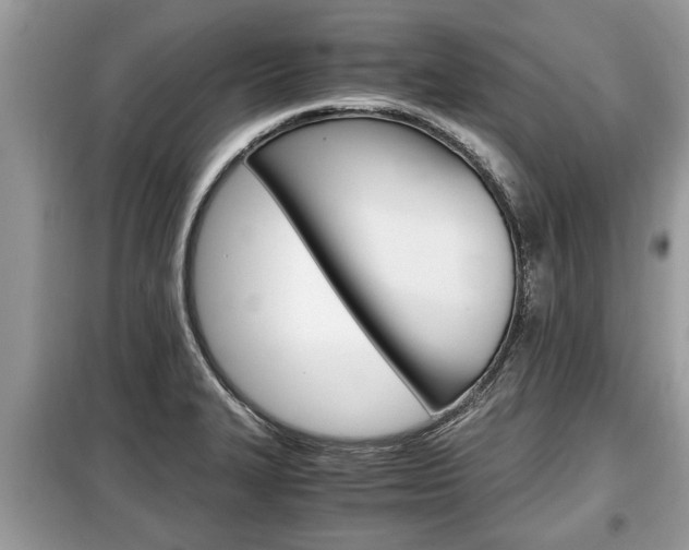 X0000099291327200805020724